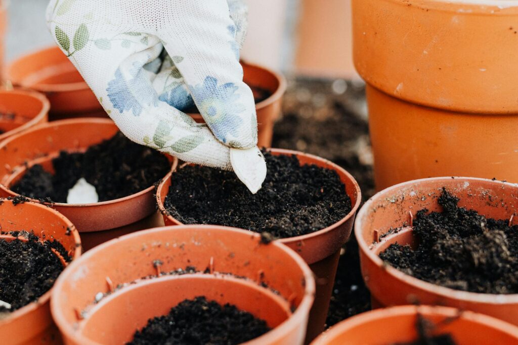 Planting seeds